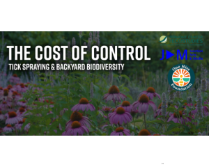 Film Screening: The Cost of Control
